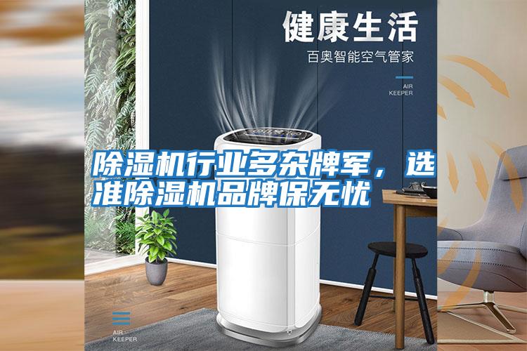 除濕機(jī)行業(yè)多雜牌軍，選準(zhǔn)除濕機(jī)品牌保無(wú)憂(yōu)