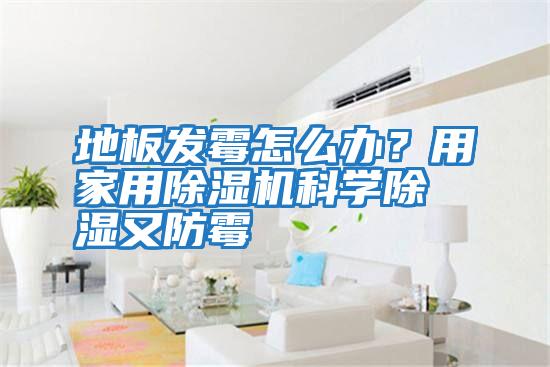 地板發(fā)霉怎么辦？用家用除濕機科學除濕又防霉