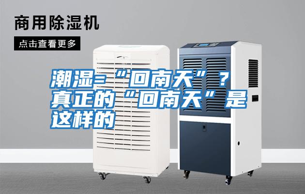 潮濕=“回南天”？ 真正的“回南天”是這樣的