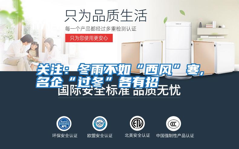 關(guān)注:冬雨不如“西風(fēng)”寒,名企“過冬”各有招