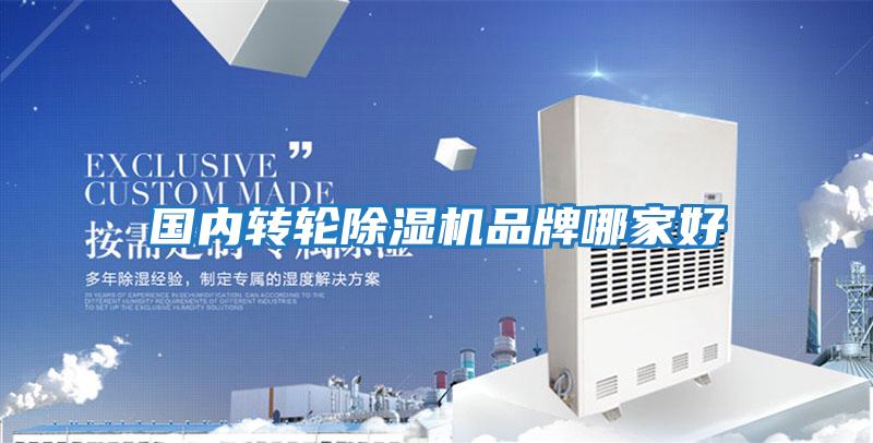 國內轉輪除濕機品牌哪家好