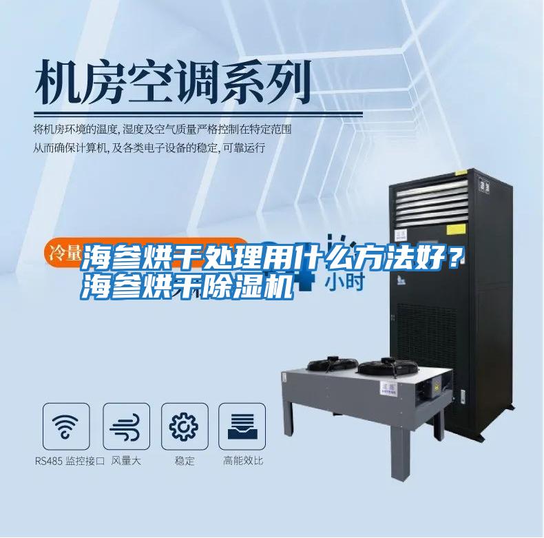 海參烘干處理用什么方法好？海參烘干除濕機(jī)