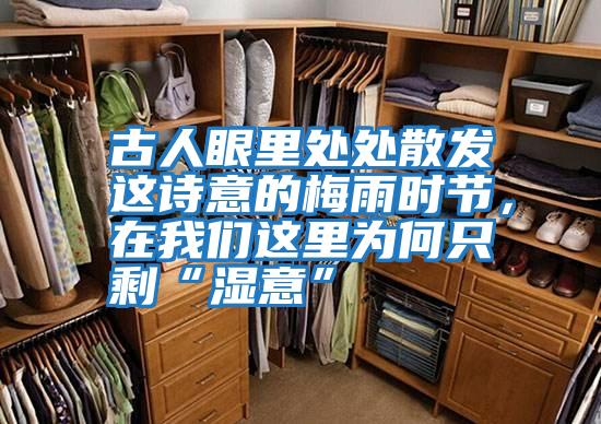 古人眼里處處散發(fā)這詩意的梅雨時節(jié)，在我們這里為何只剩“濕意”