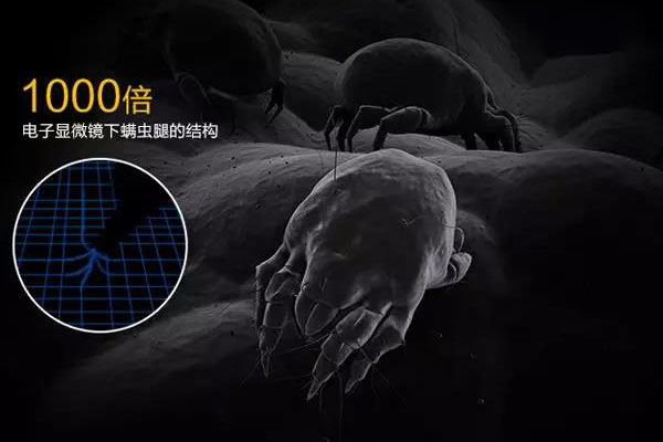 1562399919.jpg 微信圖片_20190706155720.jpg