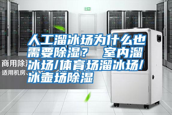 人工溜冰場為什么也需要除濕？ 室內溜冰場/體育場溜冰場/冰壺場除濕