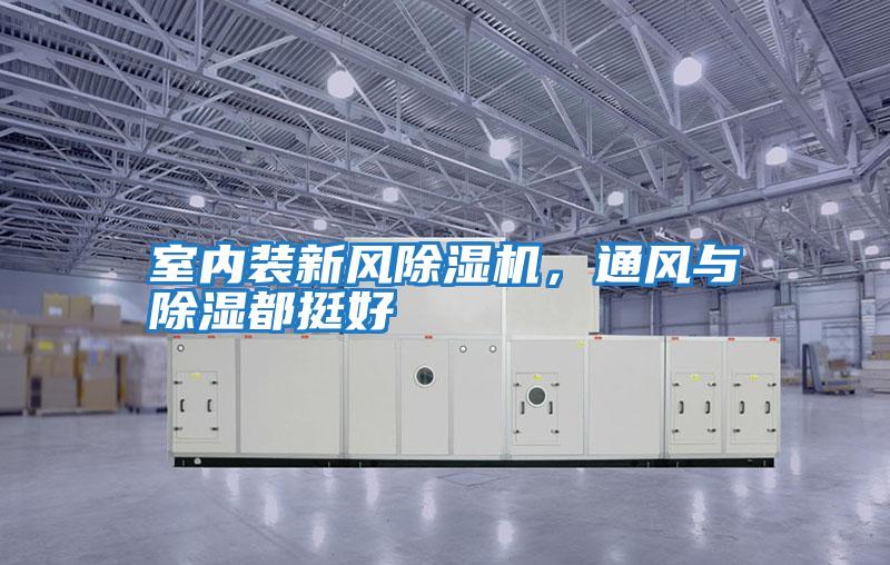 室內裝新風除濕機，通風與除濕都挺好