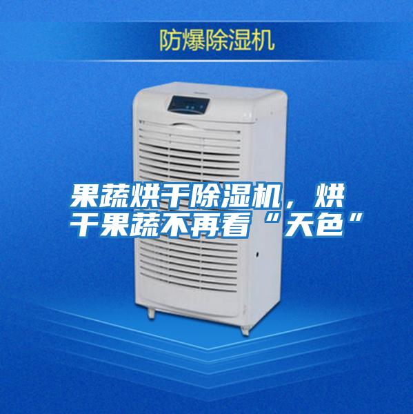 果蔬烘干除濕機，烘干果蔬不再看“天色”