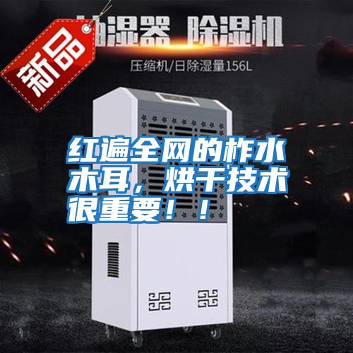 紅遍全網(wǎng)的柞水木耳，烘干技術(shù)很重要??！