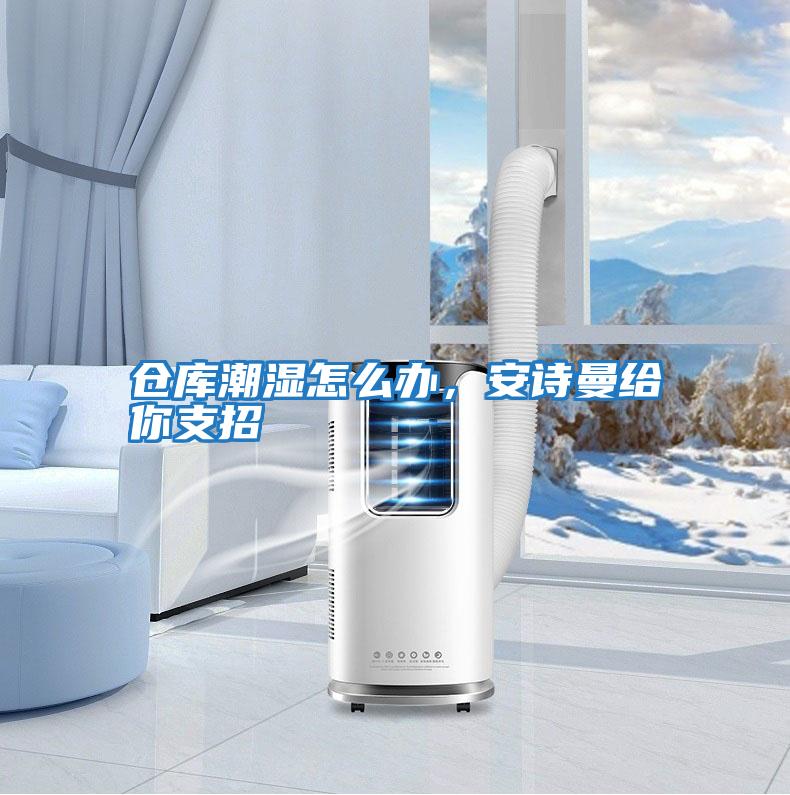 倉(cāng)庫(kù)潮濕怎么辦,安詩(shī)曼給你支招