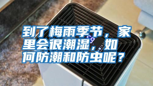 到了梅雨季節，家里會很潮濕，如何防潮和防蟲呢？