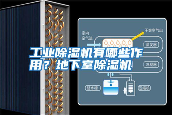 工業除濕機有哪些作用？地下室除濕機