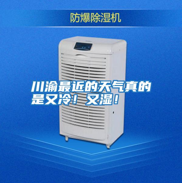 川渝最近的天氣真的是又冷！又濕！