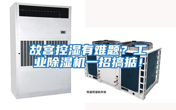 故宮控濕有難題?工業除濕機一招搞掂!