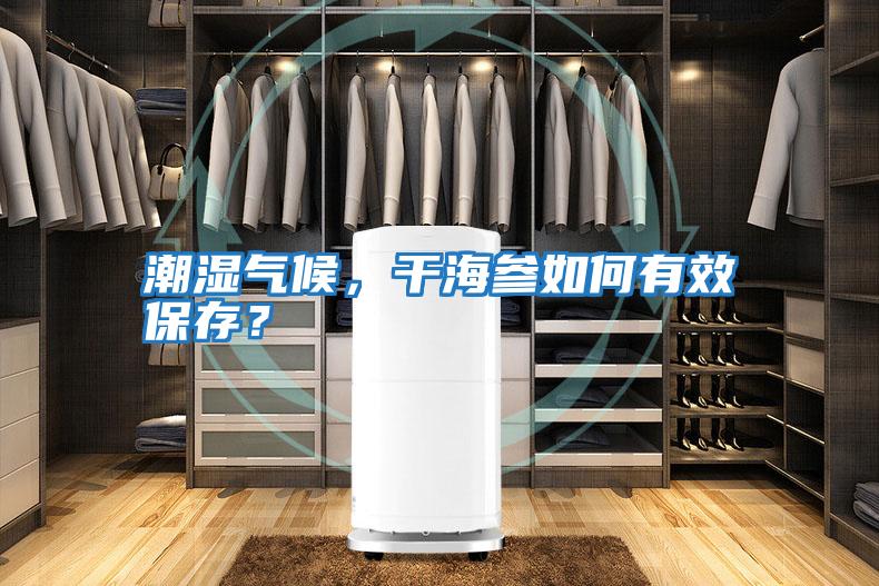 潮濕氣候，干海參如何有效保存？