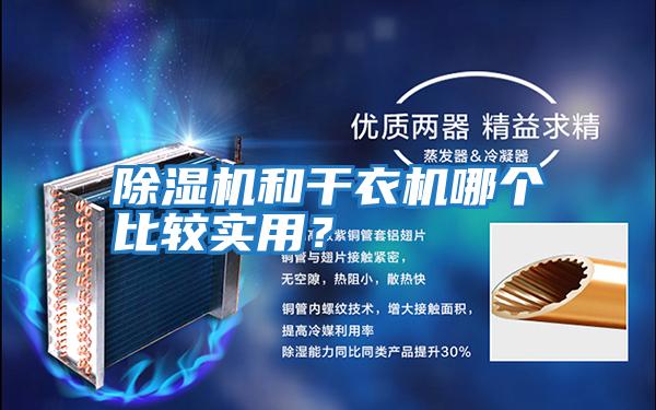 除濕機和干衣機哪個比較實用？