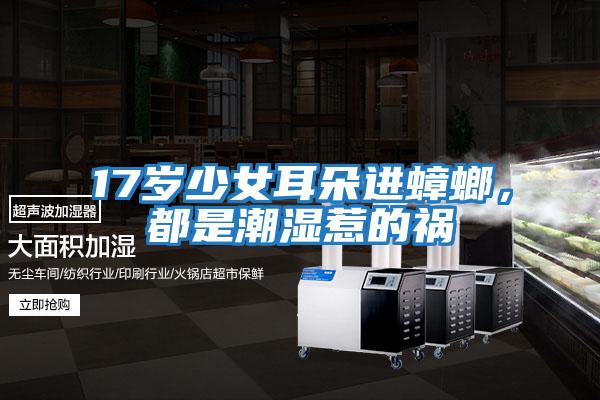 17歲少女耳朵進(jìn)蟑螂，都是潮濕惹的禍