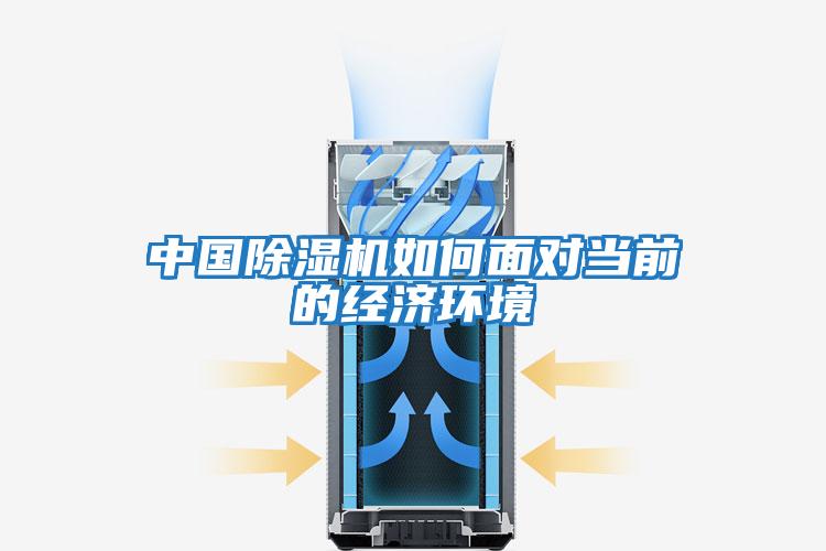 中國除濕機(jī)如何面對當(dāng)前的經(jīng)濟(jì)環(huán)境