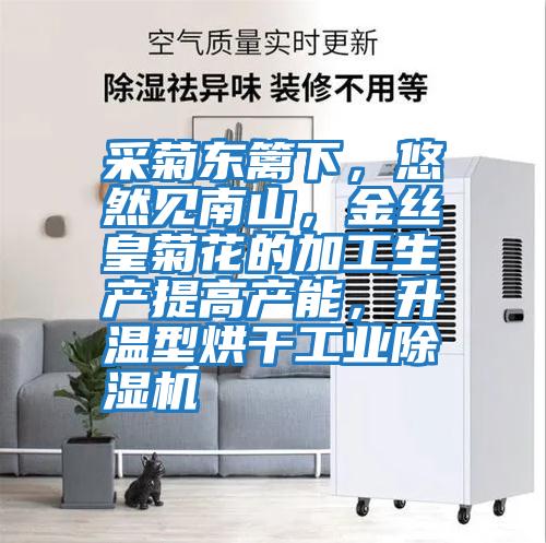 采菊東籬下，悠然見(jiàn)南山，金絲皇菊花的加工生產(chǎn)提高產(chǎn)能，升溫型烘干工業(yè)除濕機(jī)