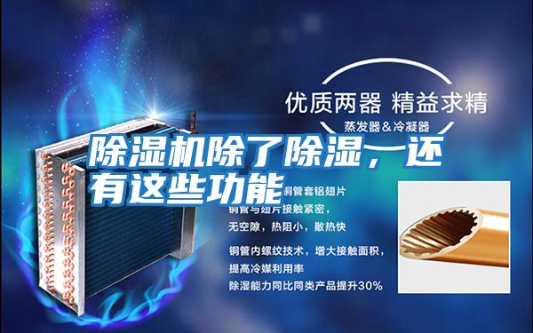 除濕機除了除濕，還有這些功能
