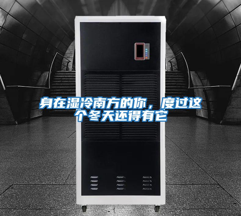 身在濕冷南方的你，度過這個冬天還得有它