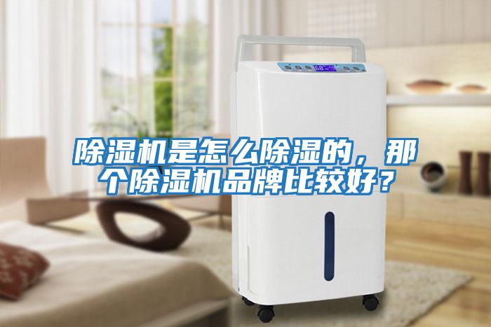 除濕機(jī)是怎么除濕的，那個(gè)除濕機(jī)品牌比較好？