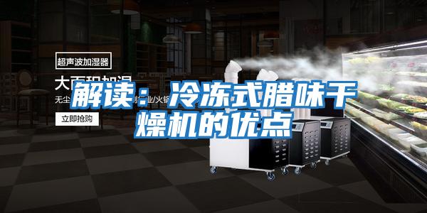 解讀:冷凍式臘味干燥機的優點