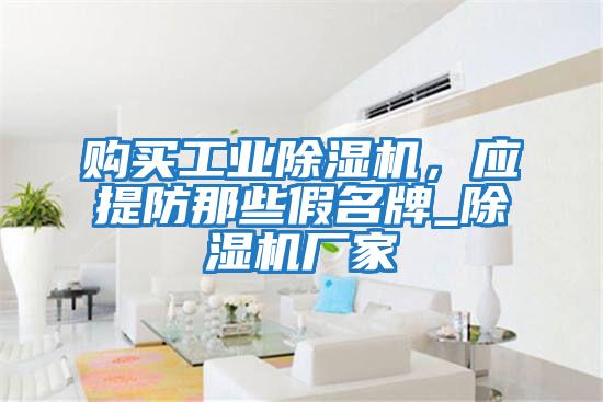 購(gòu)買工業(yè)除濕機(jī)，應(yīng)提防那些假名牌_除濕機(jī)廠家