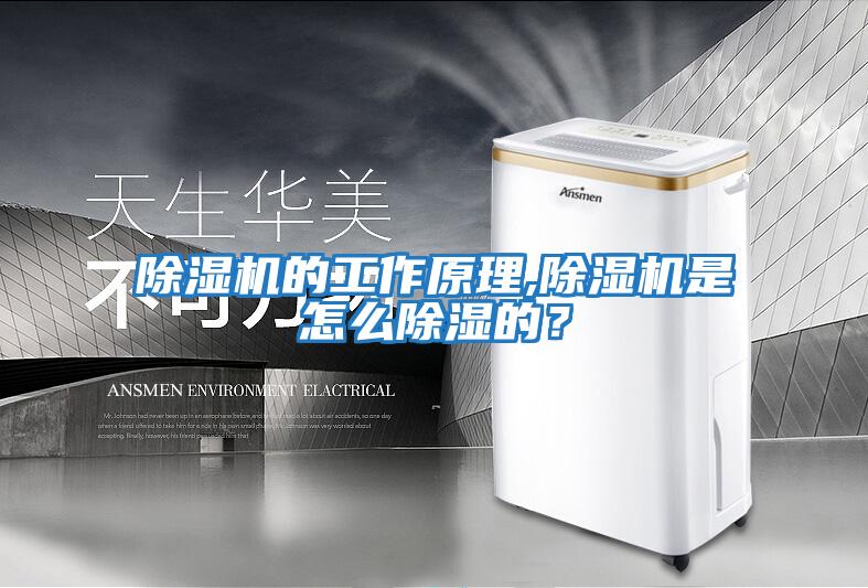 除濕機的工作原理,除濕機是怎么除濕的？