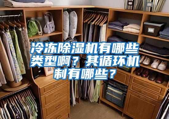 冷凍除濕機有哪些類型啊？其循環機制有哪些？