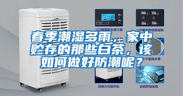 春季潮濕多雨，家中貯存的那些白茶，該如何做好防潮呢？