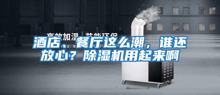 酒店、餐廳這么潮，誰還放心？除濕機用起來啊