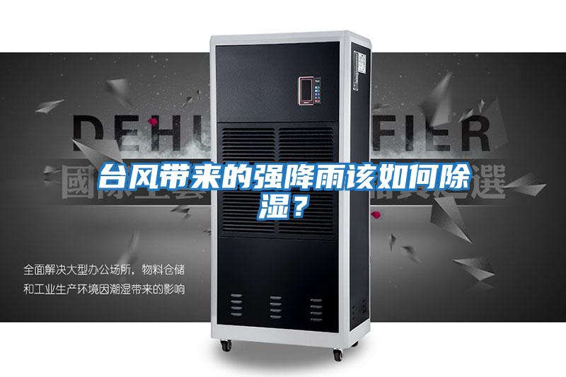 臺(tái)風(fēng)帶來(lái)的強(qiáng)降雨該如何除濕？