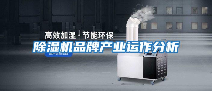 除濕機品牌產(chǎn)業(yè)運作分析