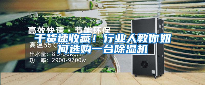 干貨速收藏！行業(yè)人教你如何選購一臺除濕機(jī)