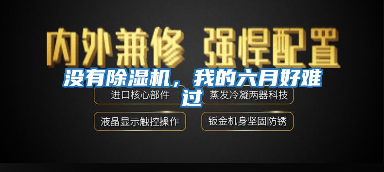 沒有除濕機，我的六月好難過