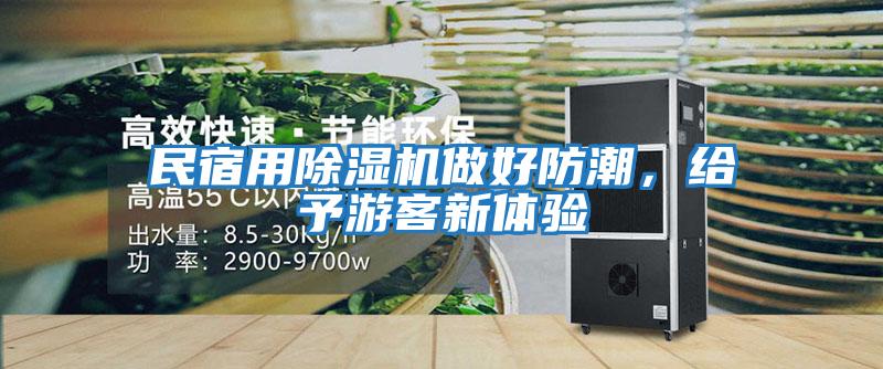 民宿用除濕機做好防潮，給予游客新體驗