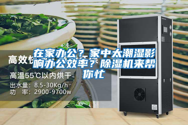 在家辦公?家中太潮濕影響辦公效率?除濕機(jī)來幫你忙