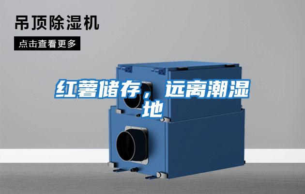 紅薯儲存，遠離潮濕地