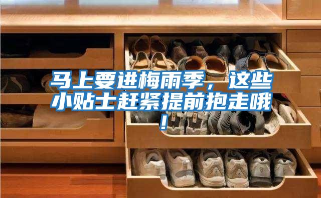 馬上要進梅雨季，這些小貼士趕緊提前抱走哦！