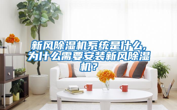新風(fēng)除濕機(jī)系統(tǒng)是什么,為什么需要安裝新風(fēng)除濕機(jī)？