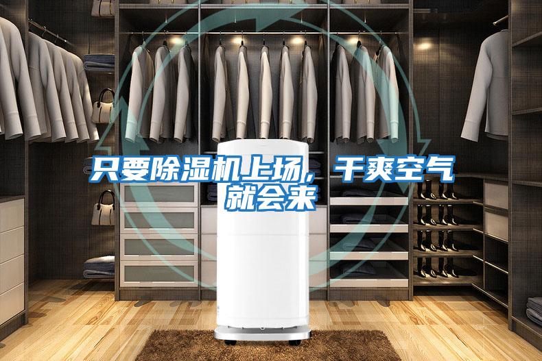 只要除濕機上場，干爽空氣就會來