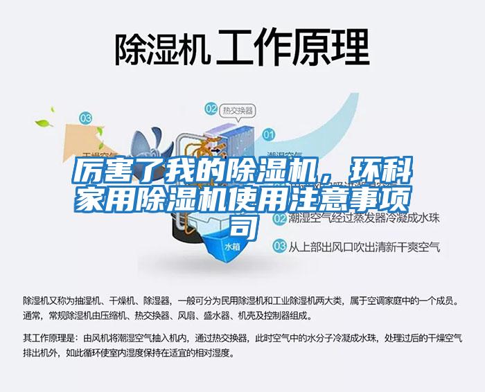 厲害了我的除濕機(jī),環(huán)科家用除濕機(jī)使用注意事項司