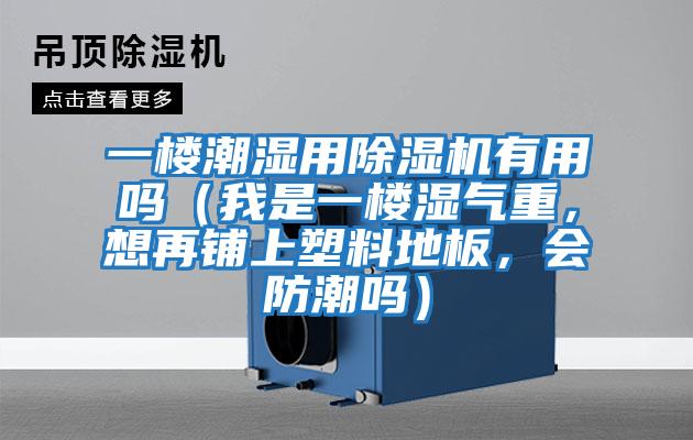 一樓潮濕用除濕機有用嗎（我是一樓濕氣重，想再鋪上塑料地板，會防潮嗎）