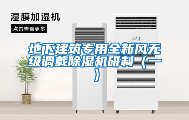 地下建筑專用全新風(fēng)無級調(diào)載除濕機研制(一)