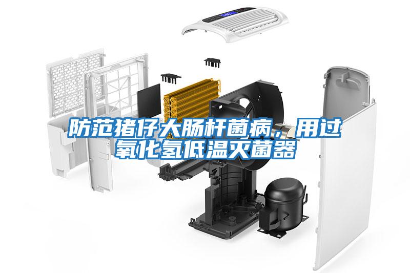 防范豬仔大腸桿菌病，用過氧化氫低溫滅菌器