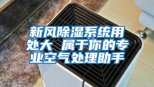 新風(fēng)除濕系統(tǒng)用處大 屬于你的專(zhuān)業(yè)空氣處理助手