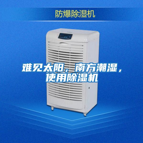 難見太陽，南方潮濕，使用除濕機