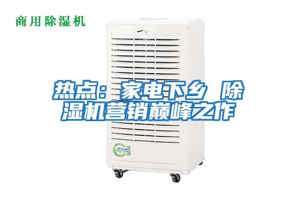 熱點：家電下鄉 除濕機營銷巔峰之作
