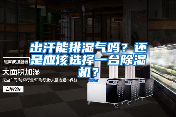 出汗能排濕氣嗎?還是應該選擇一臺除濕機?