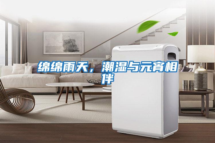 綿綿雨天，潮濕與元宵相伴